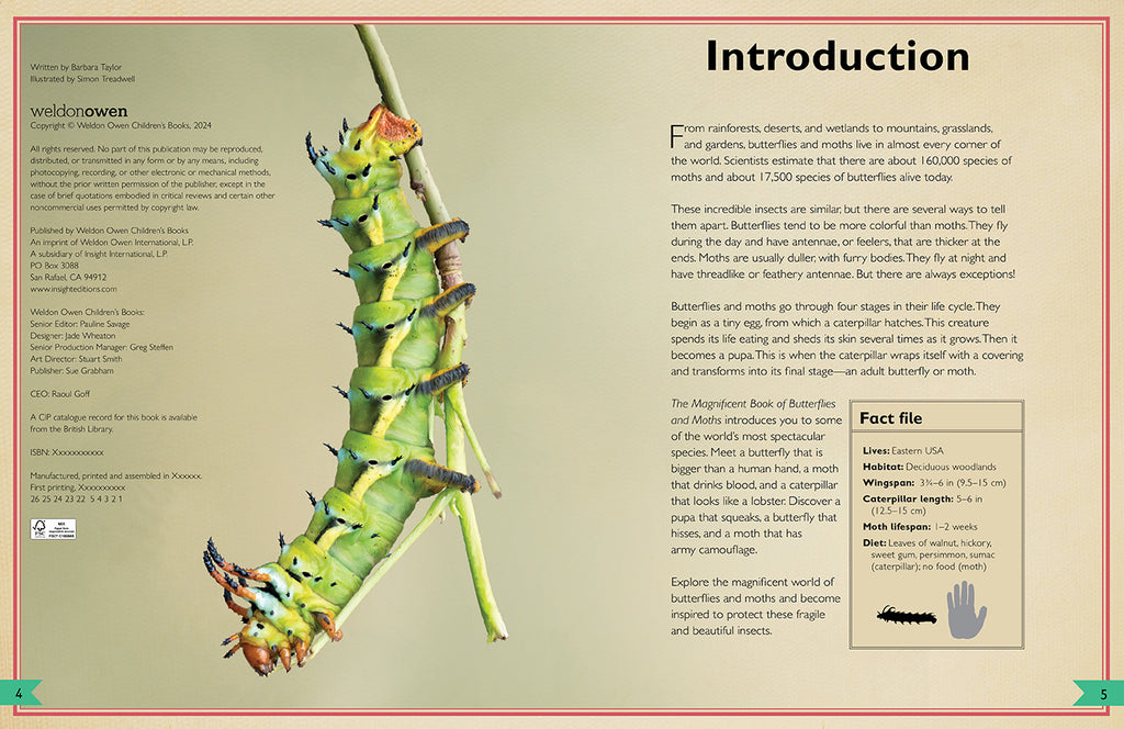 The Magnificent Book of Butterflies & Moths