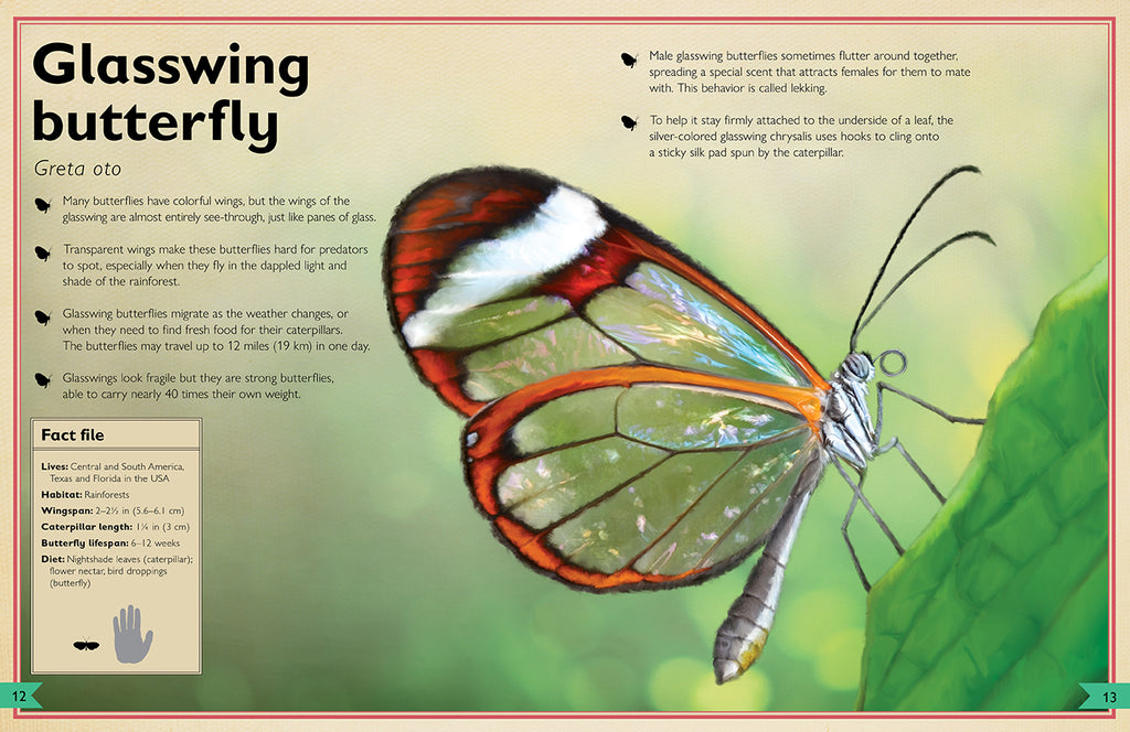 The Magnificent Book of Butterflies & Moths