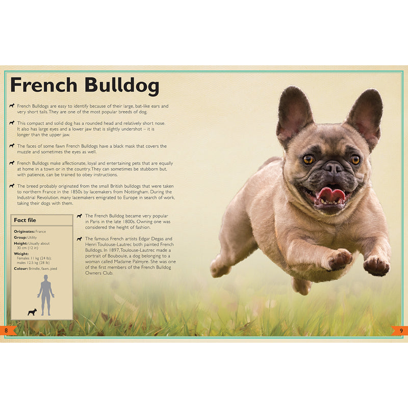 The Magnificent Book of Dogs