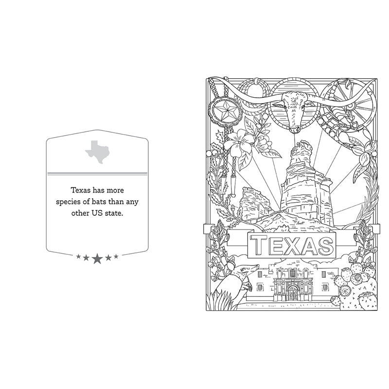 America the Beautiful Coloring Book