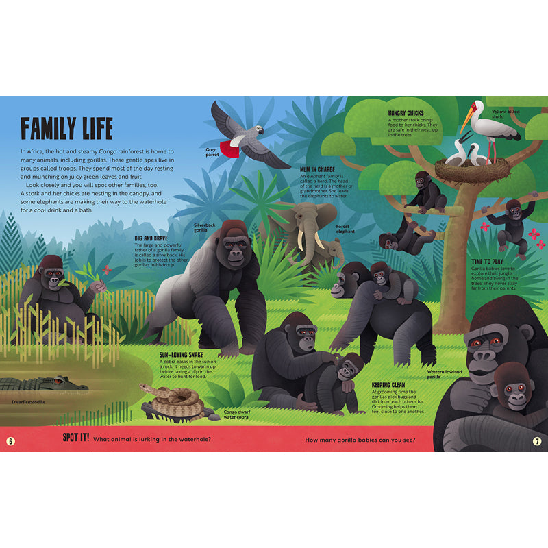 My First Jungle Atlas