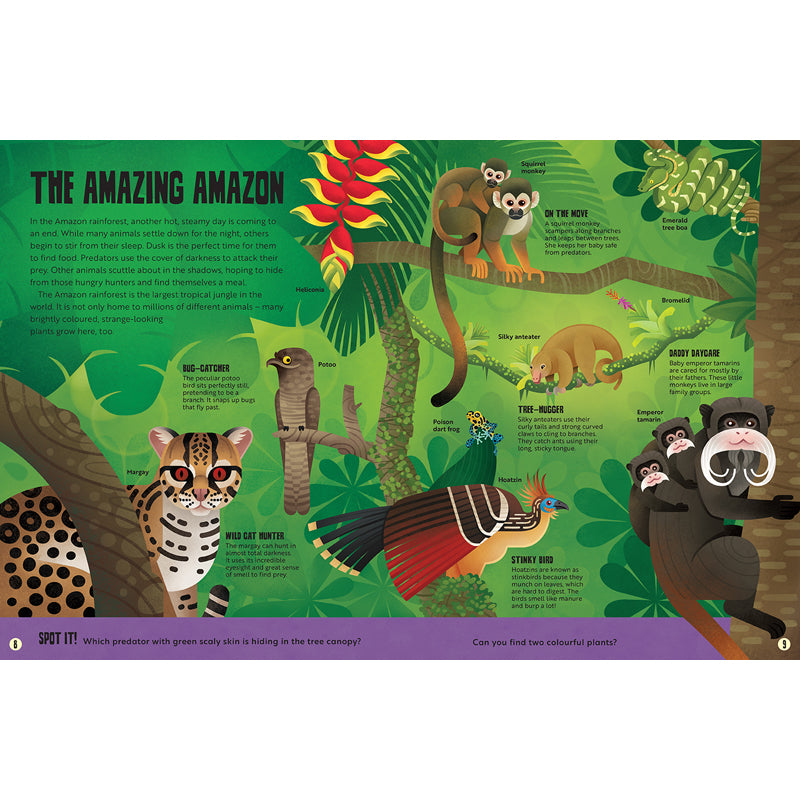 My First Jungle Atlas