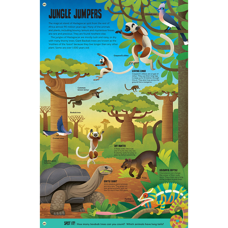 My First Jungle Atlas