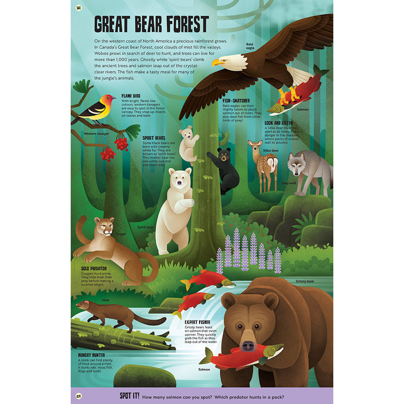 My First Jungle Atlas