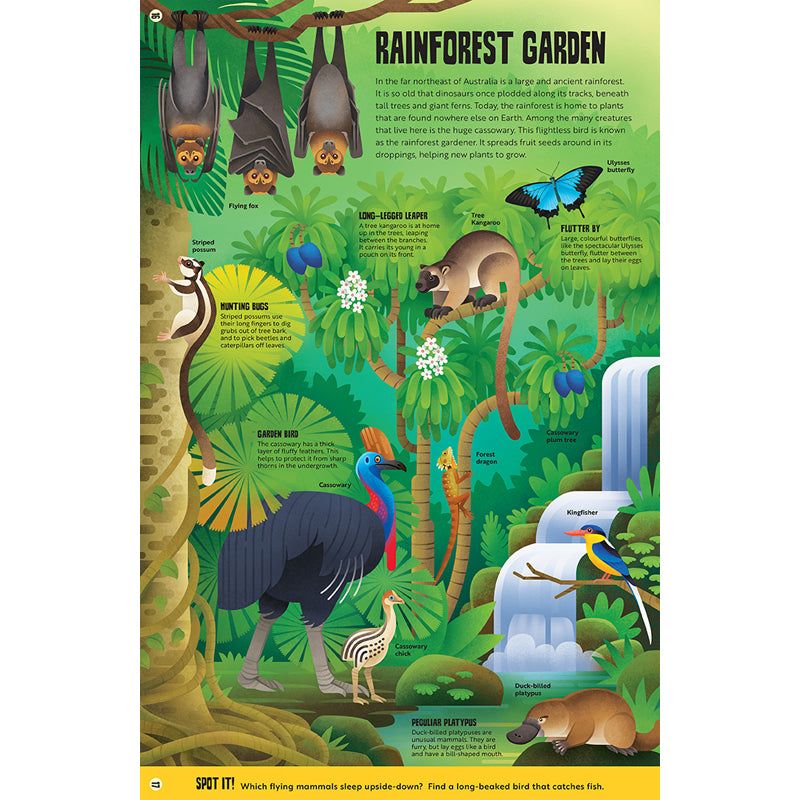 My First Jungle Atlas