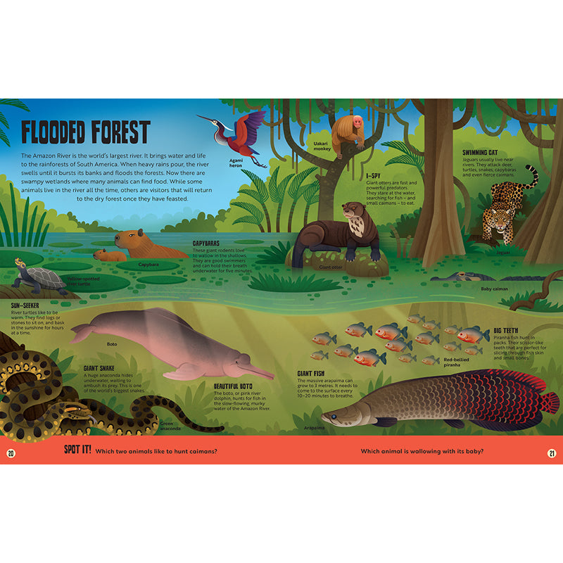 My First Jungle Atlas