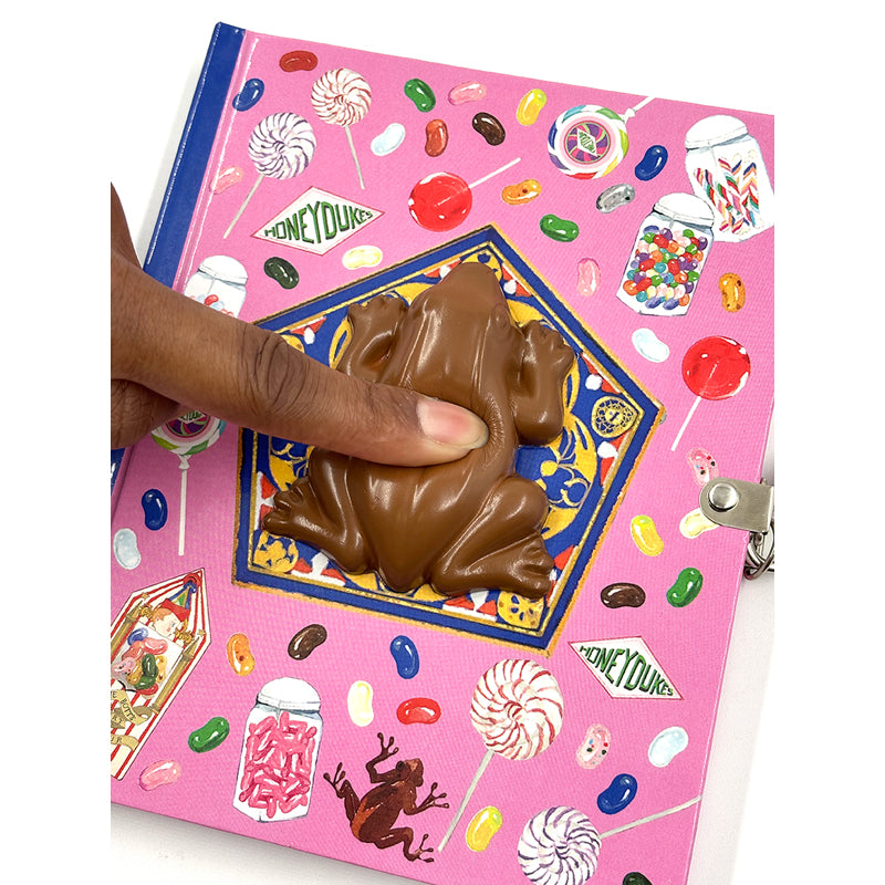 Harry Potter: Chocolate Frog Squishy Lock & Key Diary