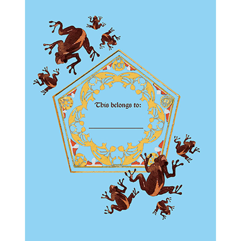 Harry Potter: Chocolate Frog Squishy Lock & Key Diary