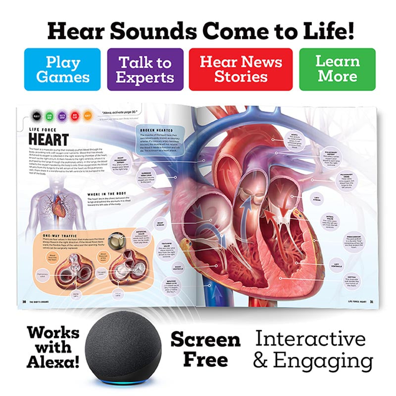 Discover: The Human Body (Ready Activated: A Readyland Alexa Interactive Book)