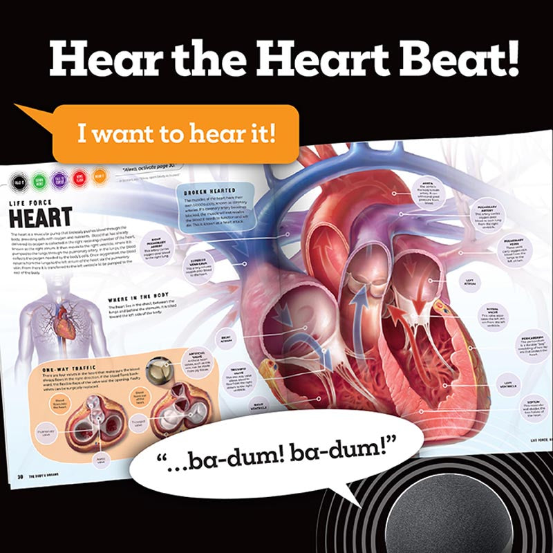 Discover: The Human Body (Ready Activated: A Readyland Alexa Interactive Book)