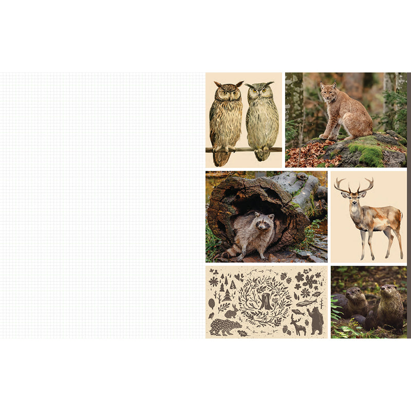 Cut and Collage Woodland Creatures