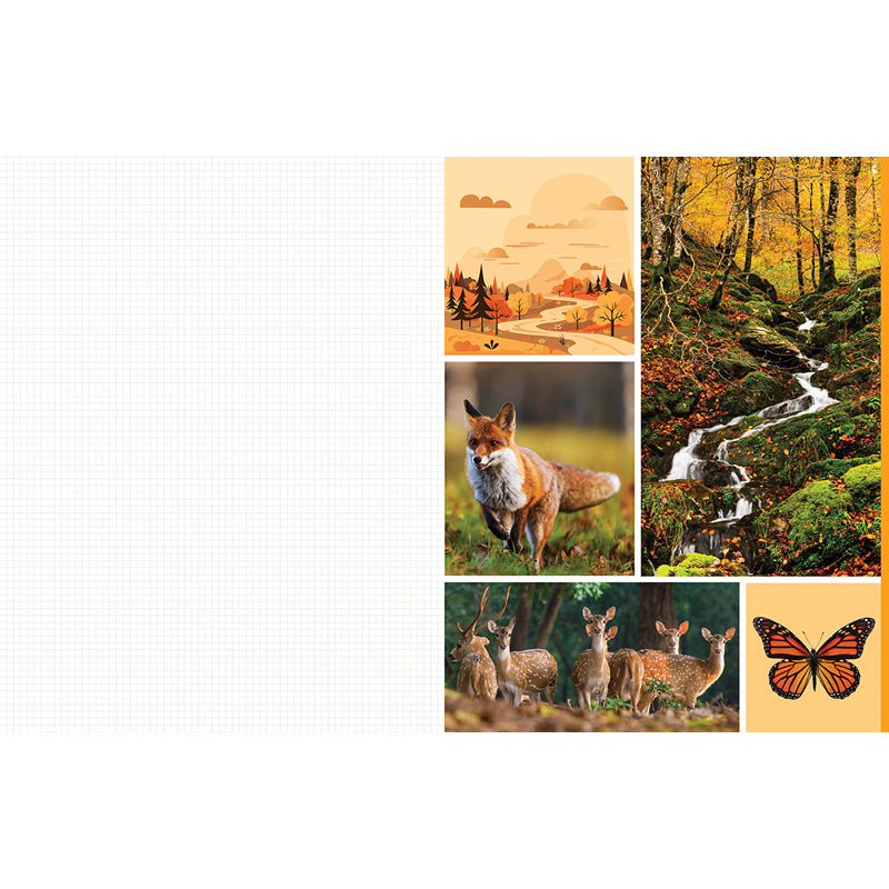 Cut and Collage Woodland Creatures