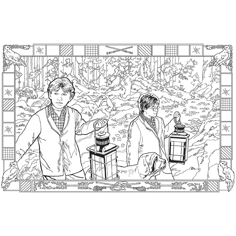 Harry Potter Coloring Book