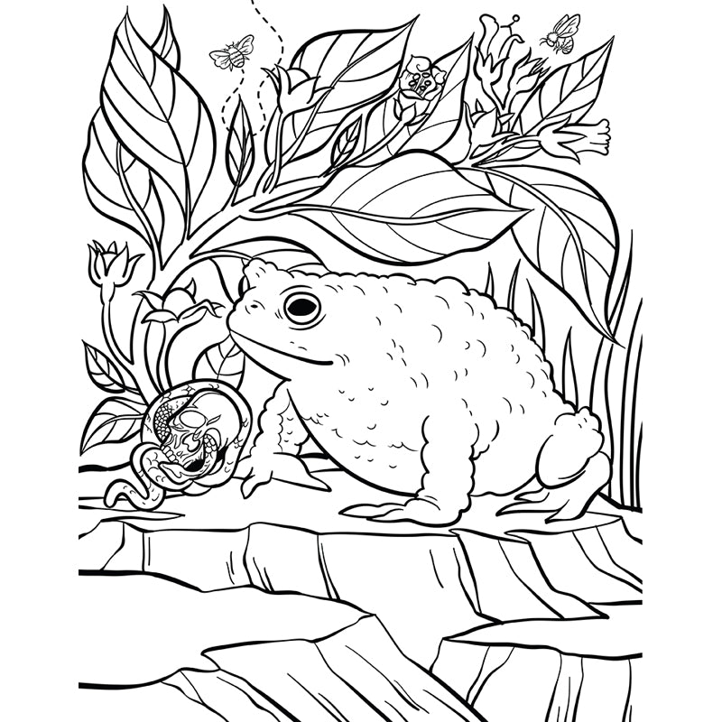 Practical Magic: The Motion Picture: The Official Coloring Book