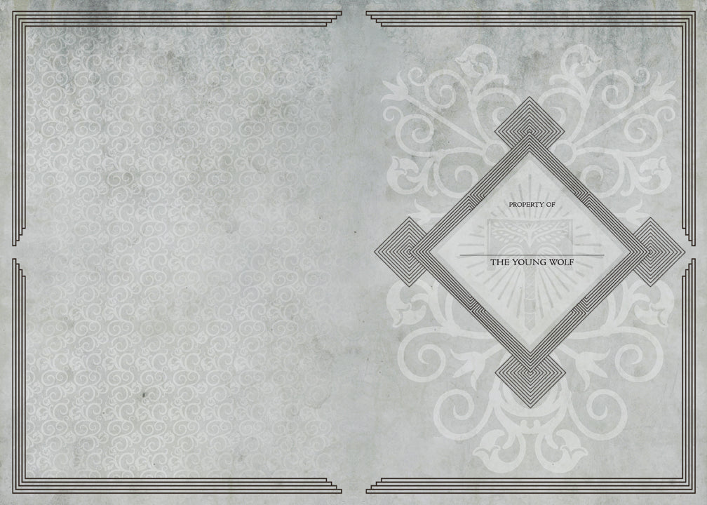 Destiny: Rise of Iron: Blank Hardcover Sketchbook