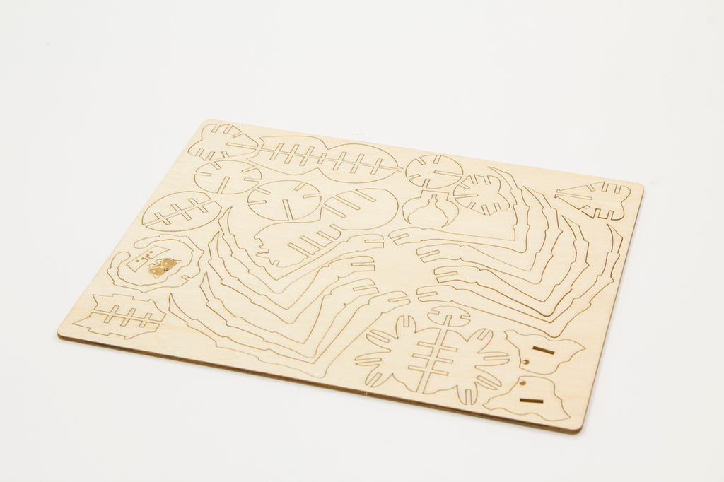 IncrediBuilds: Harry Potter: Aragog 3D Wood Model and Booklet