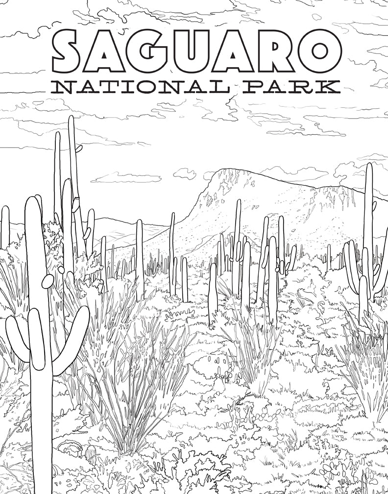 The National Parks Poster Coloring Book