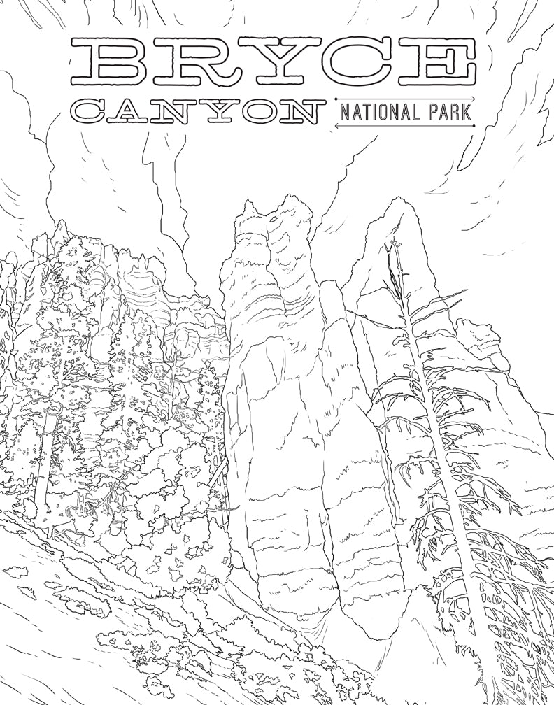 The National Parks Poster Coloring Book