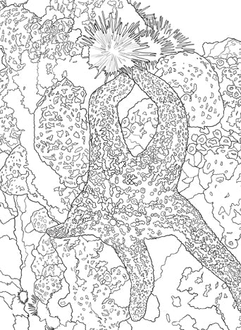 The National Parks Postcard Coloring Book