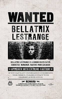 Harry Potter: Wanted Posters Pocket Notebook Collection (Set of 3)