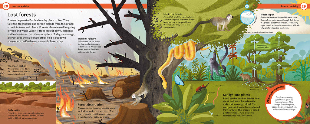 How Do We Stop Climate Change?