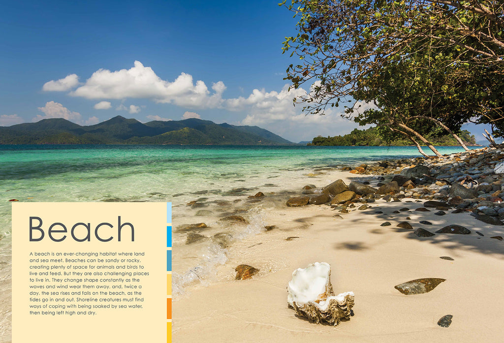 Habitats and the Animals Who Live in Them