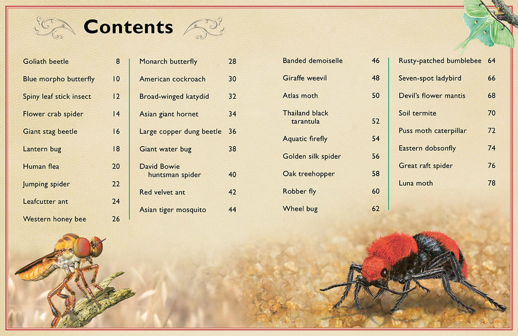 The Magnificent Book of Insects and Spiders