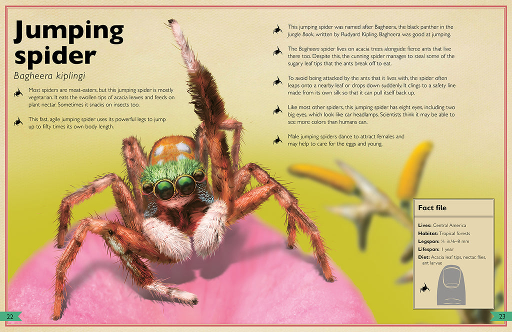 The Magnificent Book of Insects and Spiders