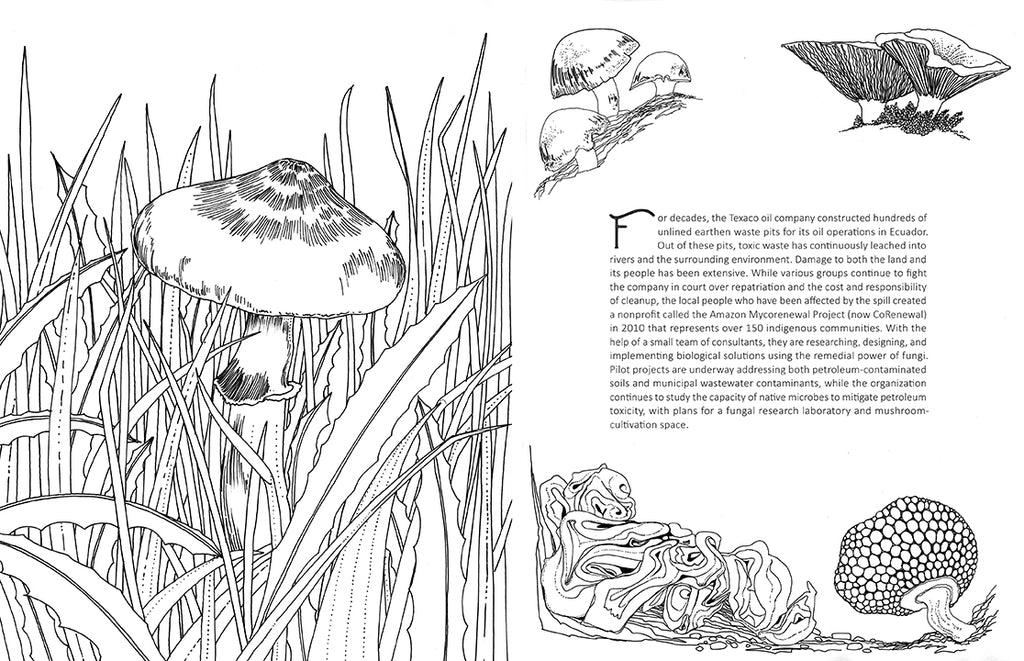 Fantastic Fungi: The Coloring Book