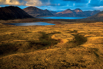 Refuge Card Portfolio Set (Set of 20 Cards)