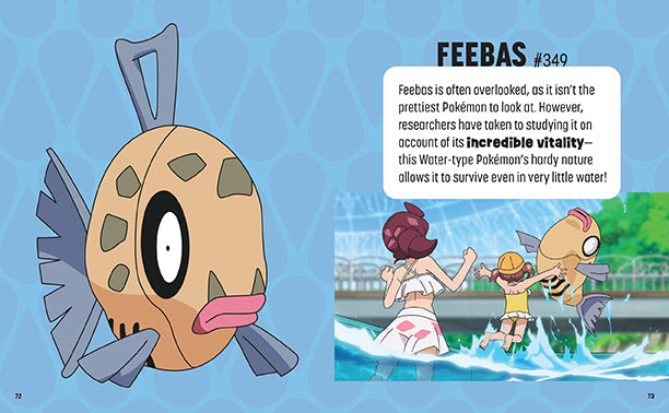 Pokemon: Trainer's Mini Exploration Guide to Hoenn