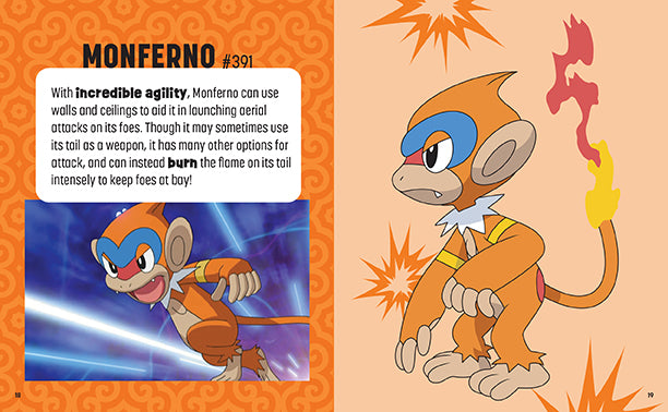 Pokemon: Trainer's Mini Exploration Guide to Sinnoh