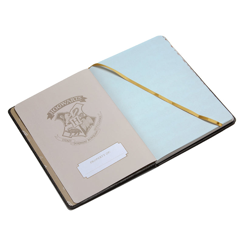 Harry Potter 2023-2024 Academic Year Planner